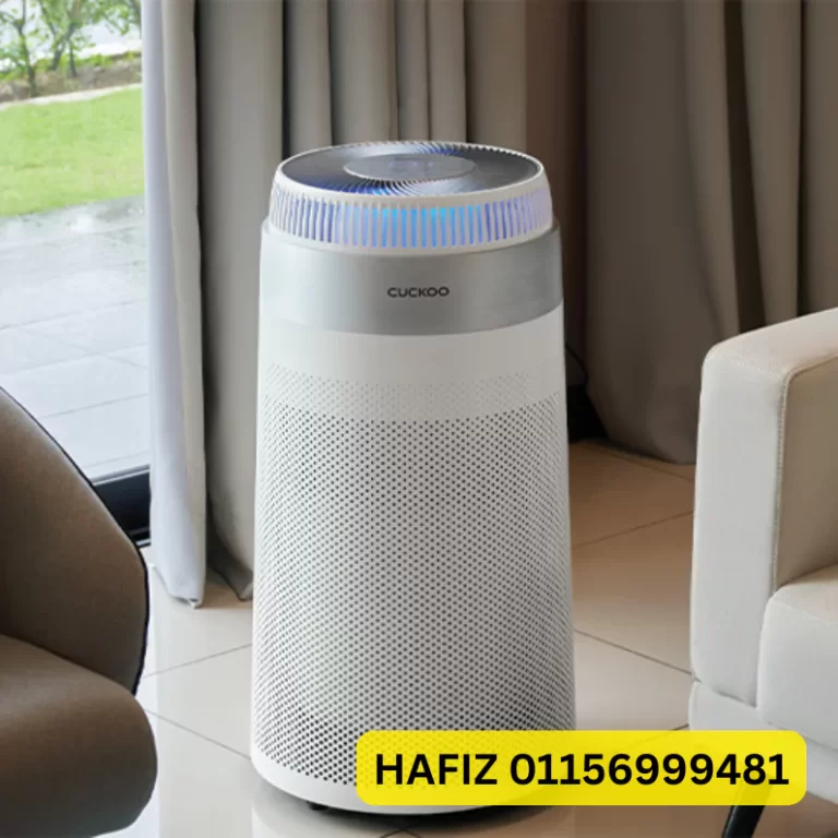 cuckoo-d-model-1-6860f61255c30