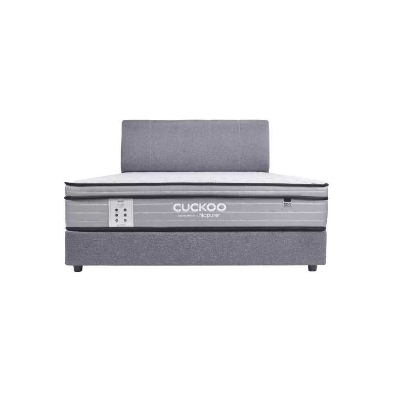 Tilam Cuckoo S-Lite